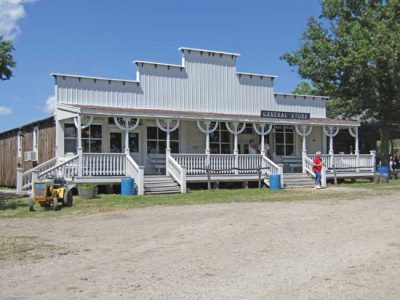 Home on the Range: Meriden Summer Show Image
